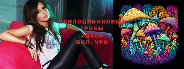 молекула духа Абинск
