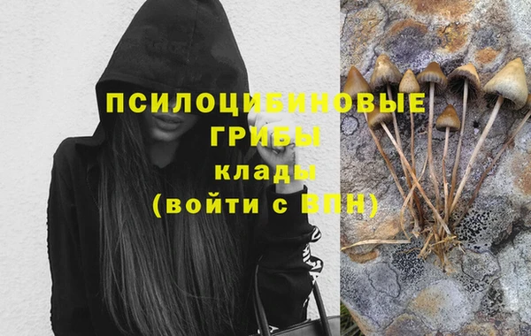 спиды Нягань